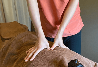 妊活のための治療一筋のスタッフ