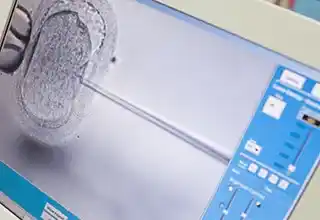 不妊治療専門クリニックも近い!